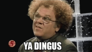 Steve Brule calling someone a dingus