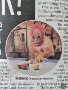 Me in the newspapers
