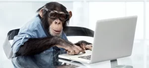 A monkey typing on a keyboard