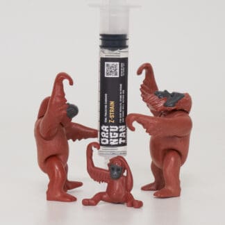 Z-STRAIN SPORES - Orangutan Trading Co